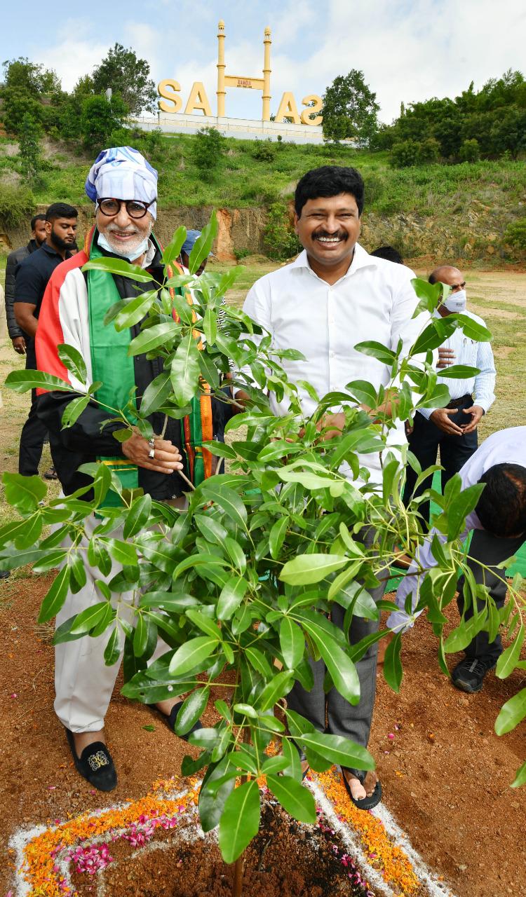 Superstar Amitabh Bachchan plants trees in Hyderabad for 'Green India