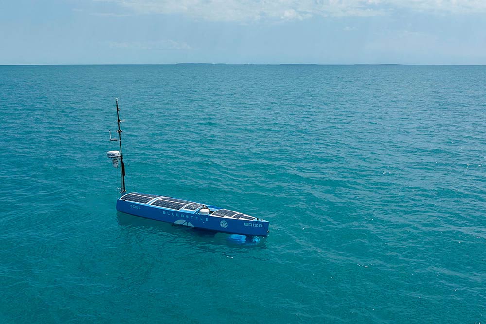 Bluebottle USV in the Sea