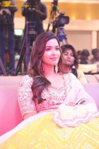 Aakasa Veedhullo Pre-Release function attended by Gautham Krishna and Pujita Ponnada