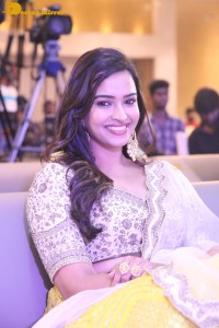 Aakasa Veedhullo Pre-Release function attended by Gautham Krishna and Pujita Ponnada