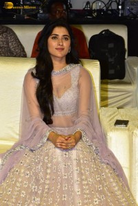 Ahimsa Pre-Release attended by Abhiram Daggubati, Geethika Tiwary, Suresh Babu, Rana Daggubati and Teja