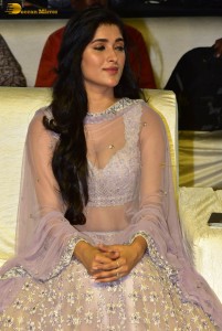 Ahimsa Pre-Release attended by Abhiram Daggubati, Geethika Tiwary, Suresh Babu, Rana Daggubati and Teja