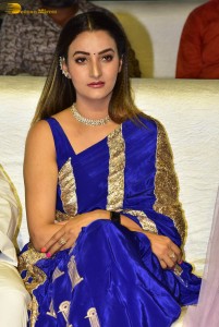 Ahimsa Pre-Release attended by Abhiram Daggubati, Geethika Tiwary, Suresh Babu, Rana Daggubati and Teja