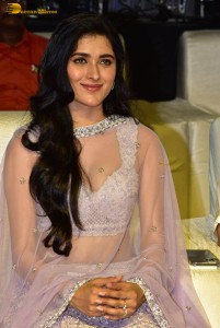 Ahimsa Pre-Release attended by Abhiram Daggubati, Geethika Tiwary, Suresh Babu, Rana Daggubati and Teja