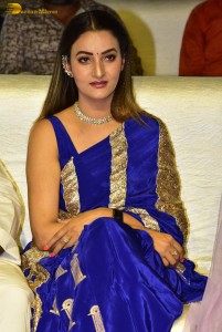 Ahimsa Pre-Release attended by Abhiram Daggubati, Geethika Tiwary, Suresh Babu, Rana Daggubati and Teja