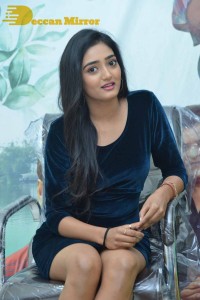 Telugu Movie Allantha Doorana Press Meet attended by Actresses Aamani and Hrithika Srinivas