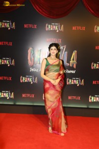 Amar Singh Chamkila Special Premiere attended by Diljit Dosanjh, Sanjana Sanghi, Tripti Dimri, Kartik Aaryan, and others