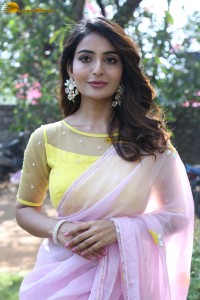 Telugu film actress ananya nagalla gorgeous in a pink saree