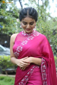 actress Ananya Nagalla lovely in a pink saree