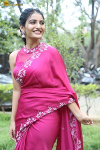 actress Ananya Nagalla lovely in a pink saree