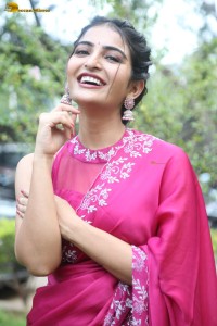 actress Ananya Nagalla lovely in a pink saree