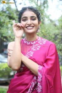actress Ananya Nagalla lovely in a pink saree