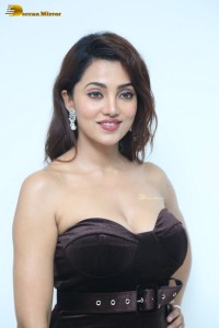 Indian Actress Ananya Raj dressed in black