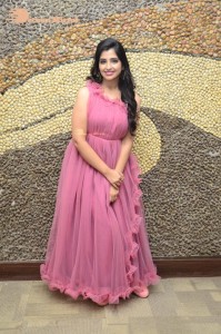Anchor Syamala in a pink dress
