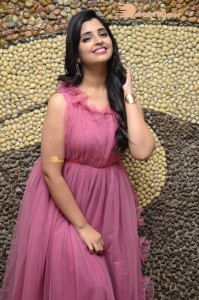 Anchor Syamala in a pink dress