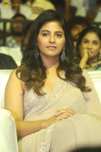 actress anjali shines in a saree at a movie function