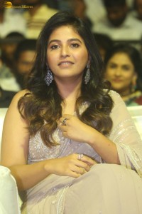 actress anjali shines in a saree at a movie function