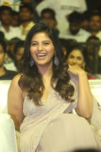 actress anjali shines in a saree at a movie function