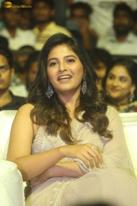 actress anjali shines in a saree at a movie function