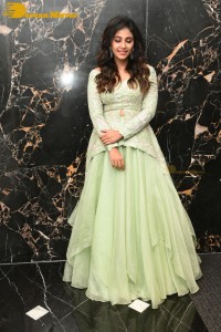 Telugu and Tamil Actress Anjali poses for pictures in a light green dress