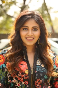 actress Anjali beautiful photoshoot