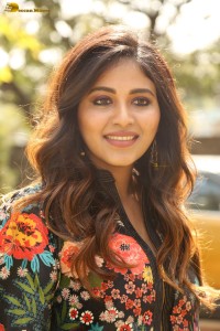 actress Anjali beautiful photoshoot