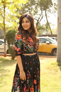 actress Anjali beautiful photoshoot