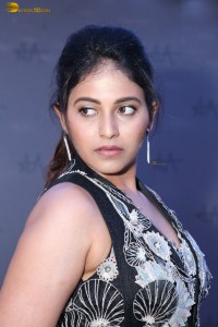 Anjali Picture Gallery 9