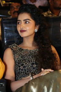 actress Anupama Parameswaran cute expressions at a movie event
