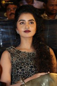 actress Anupama Parameswaran cute expressions at a movie event