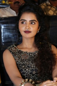 actress Anupama Parameswaran cute expressions at a movie event