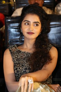 actress Anupama Parameswaran cute expressions at a movie event