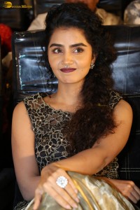 actress Anupama Parameswaran cute expressions at a movie event