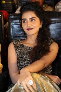 actress Anupama Parameswaran cute expressions at a movie event