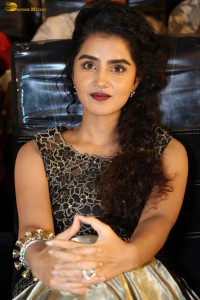 actress Anupama Parameswaran cute expressions at a movie event