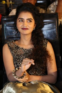 actress Anupama Parameswaran cute expressions at a movie event