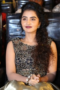 actress Anupama Parameswaran cute expressions at a movie event