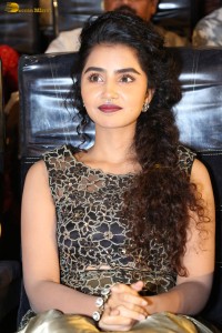 actress Anupama Parameswaran cute expressions at a movie event