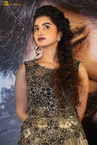 actress Anupama Parameswaran cute expressions at a movie event