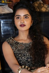 actress Anupama Parameswaran cute expressions at a movie event