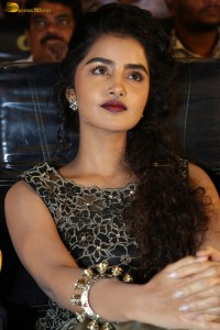 actress Anupama Parameswaran cute expressions at a movie event