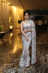 actress Anupama Parameswaran sweet looks in a greyish white floral saree