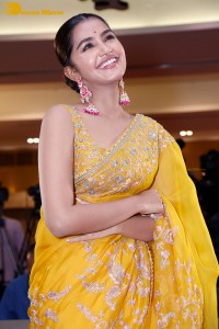 Actress Anupama Parameswaran in a yellow saree