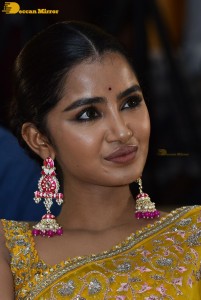 Actress Anupama Parameswaran in a yellow saree