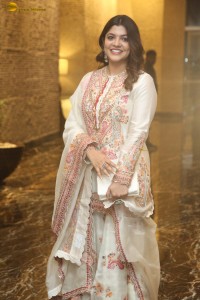 Aparna Balamurali Picture Gallery 2