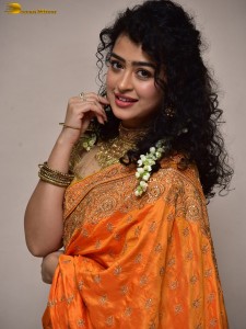 actress Apsara Rani red-hot looks in a orange saree