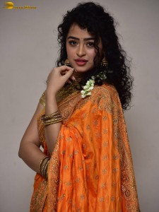 actress Apsara Rani red-hot looks in a orange saree
