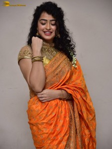 actress Apsara Rani red-hot looks in a orange saree