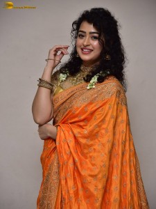actress Apsara Rani red-hot looks in a orange saree