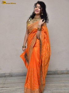 actress Apsara Rani red-hot looks in a orange saree